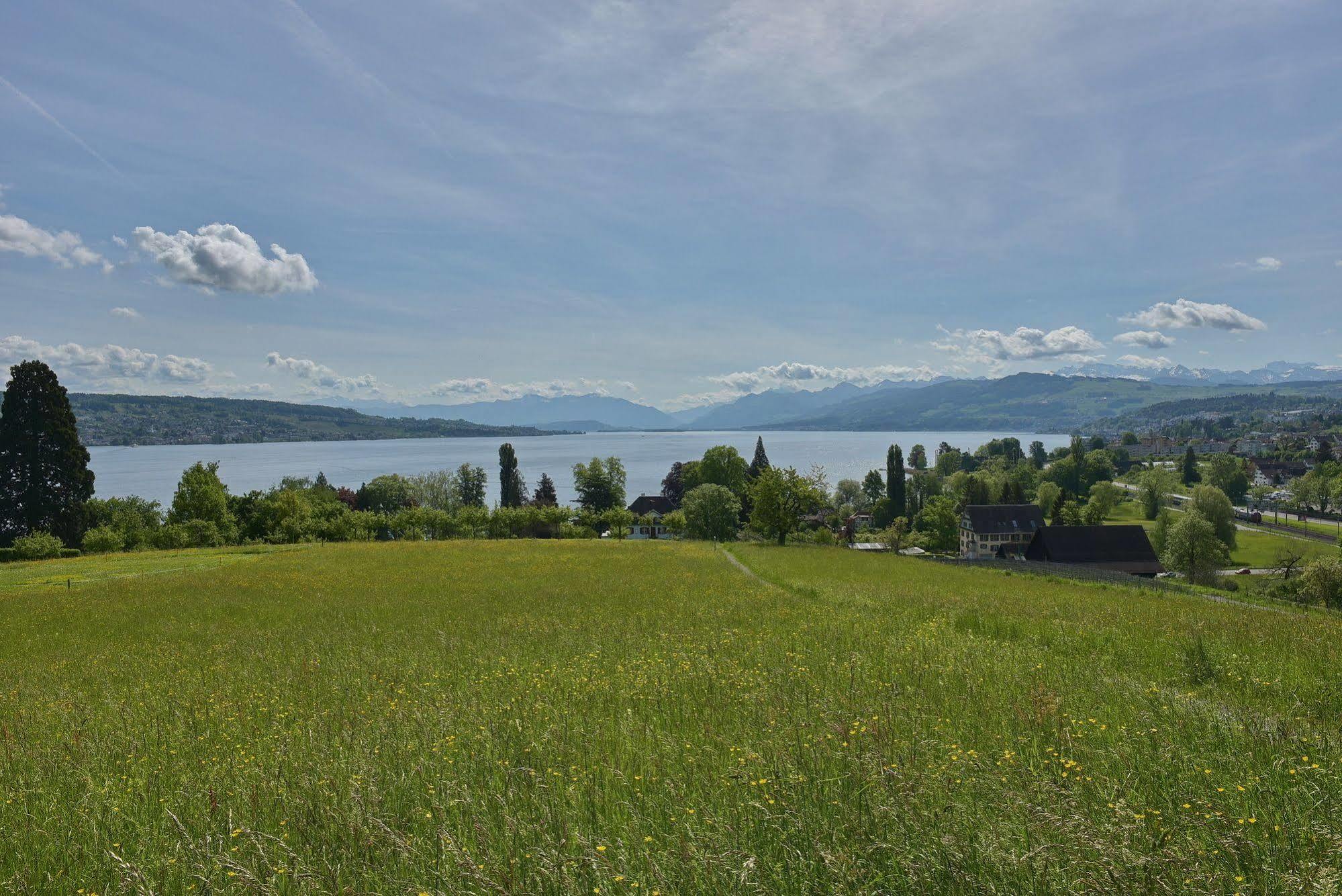 Landgasthof Halbinsel Au Waedenswil Exterior photo